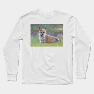 Red fox Long Sleeve T-Shirt